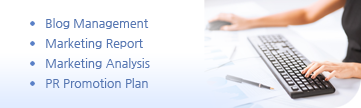 Blog Management Marketing Report Marketing Analysis PR Promotion Plan